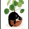 26236640.jpg 【生活美學】貓奴系列-花園裏的貓(鏡面草)