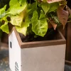 45189000.webp 小屋子水泥造型花器/盆器