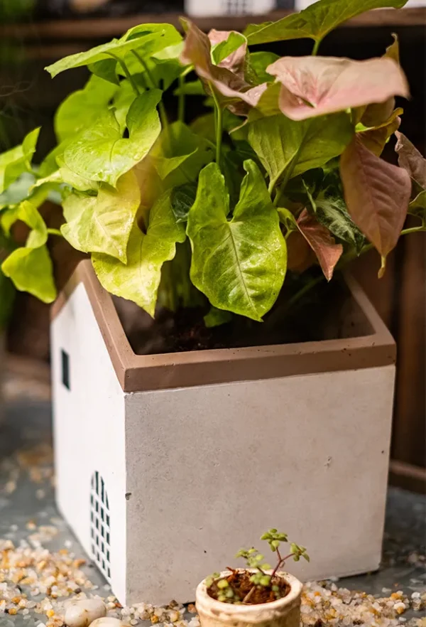 45189000.webp 小屋子水泥造型花器/盆器