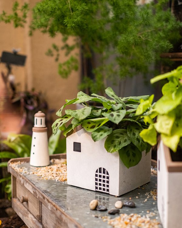 45189063.jpg 小屋子水泥造型花器/盆器