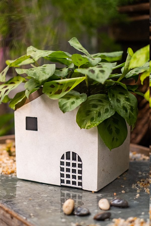 45189083.jpg 小屋子水泥造型花器/盆器