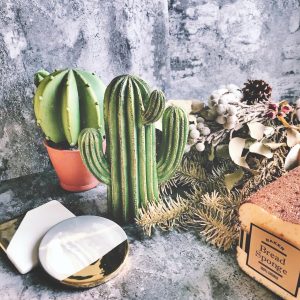 【生活美學】仿真小清新 仙人掌 多肉植物擺飾