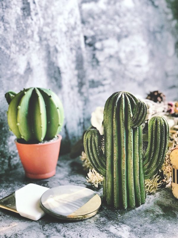 5526125.jpeg 【生活美學】仿真小清新 仙人掌 多肉植物擺飾