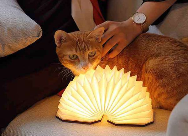 [展示品出清］風琴折疊式LED小夜燈