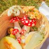 DOIY 蘑菇花器(兩種尺寸)