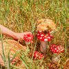DOIY 蘑菇花器(兩種尺寸)