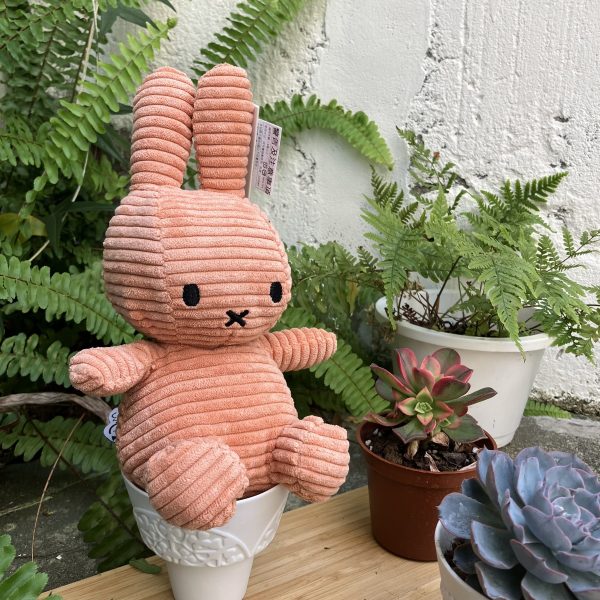 BON TON TOYS Miffy 米菲兔 ECO 燈芯絨填充玩偶-南瓜