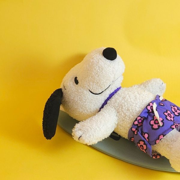 83079094.jpeg BON TON TOYS Snoopy史努比填充玩偶-衝浪狗 22cm