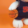 BON TON TOYS Snoopy史努比填充玩偶-籃球狗 23cm