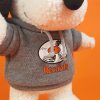 BON TON TOYS Snoopy史努比填充玩偶-DJ狗 23cm